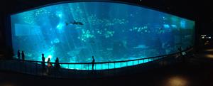 sea aquarium