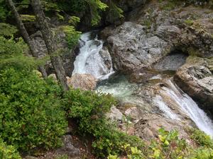 wallace falls